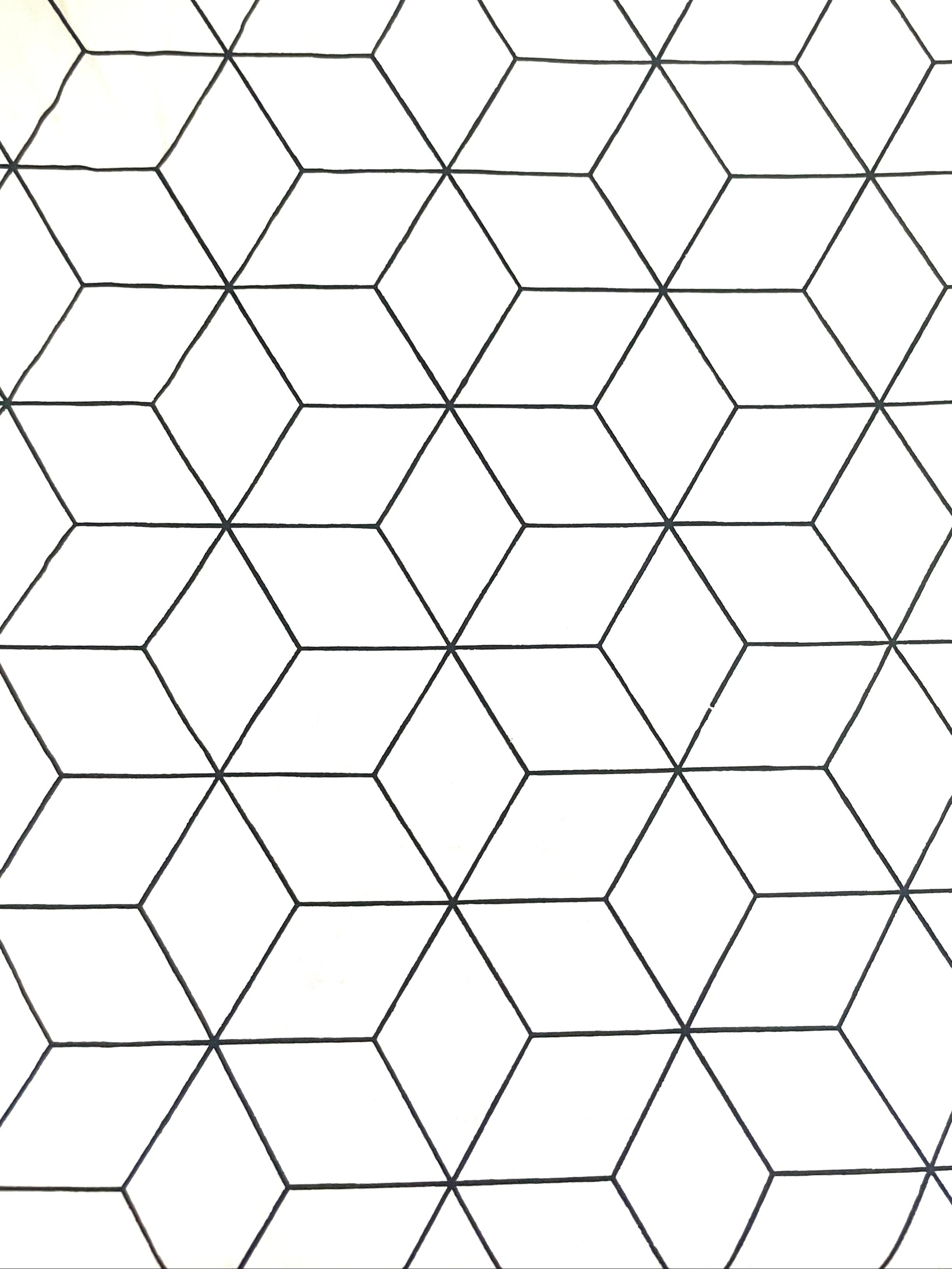 Hexagon White