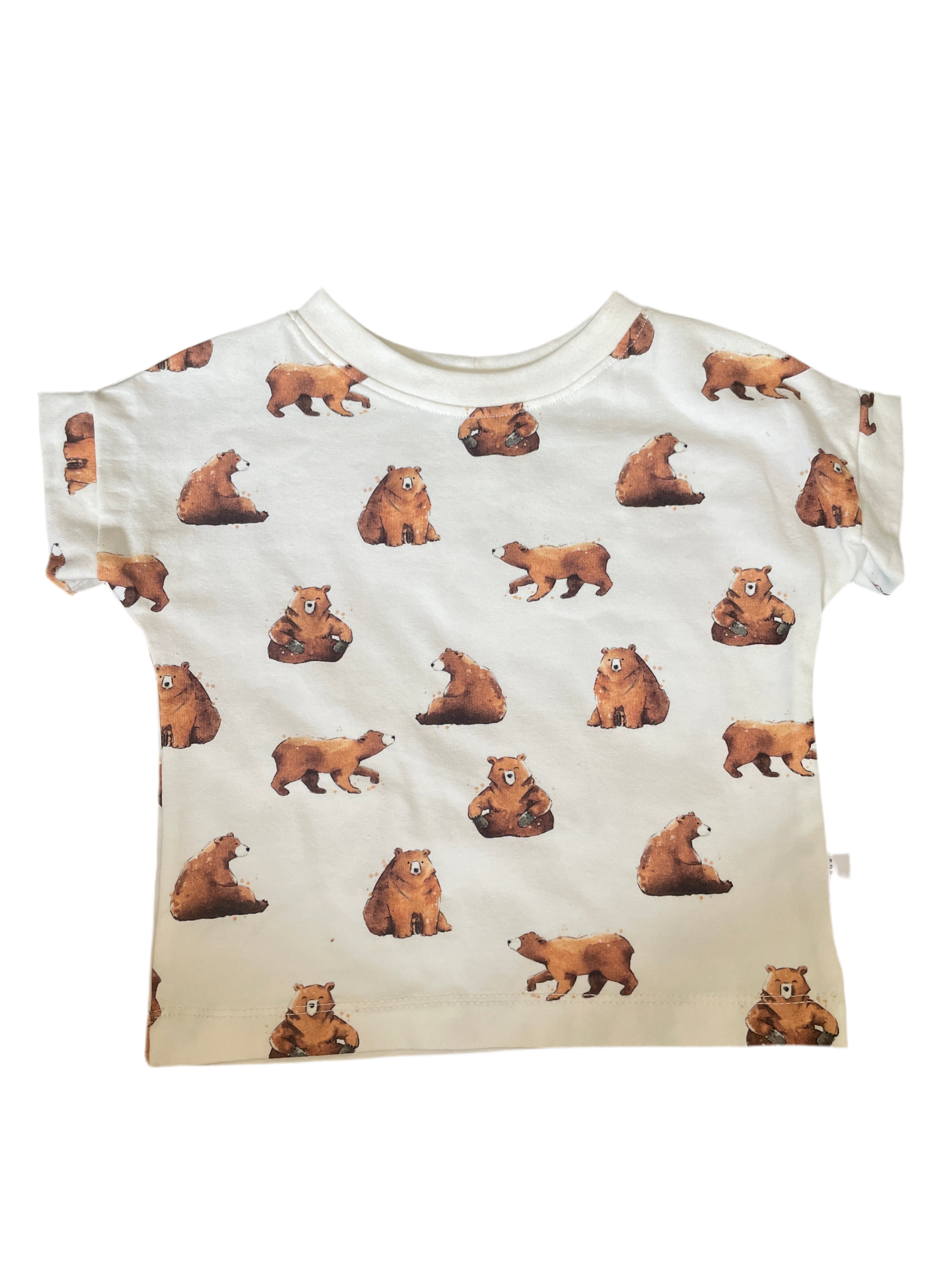 Tshirt Roll Up Bears (80)