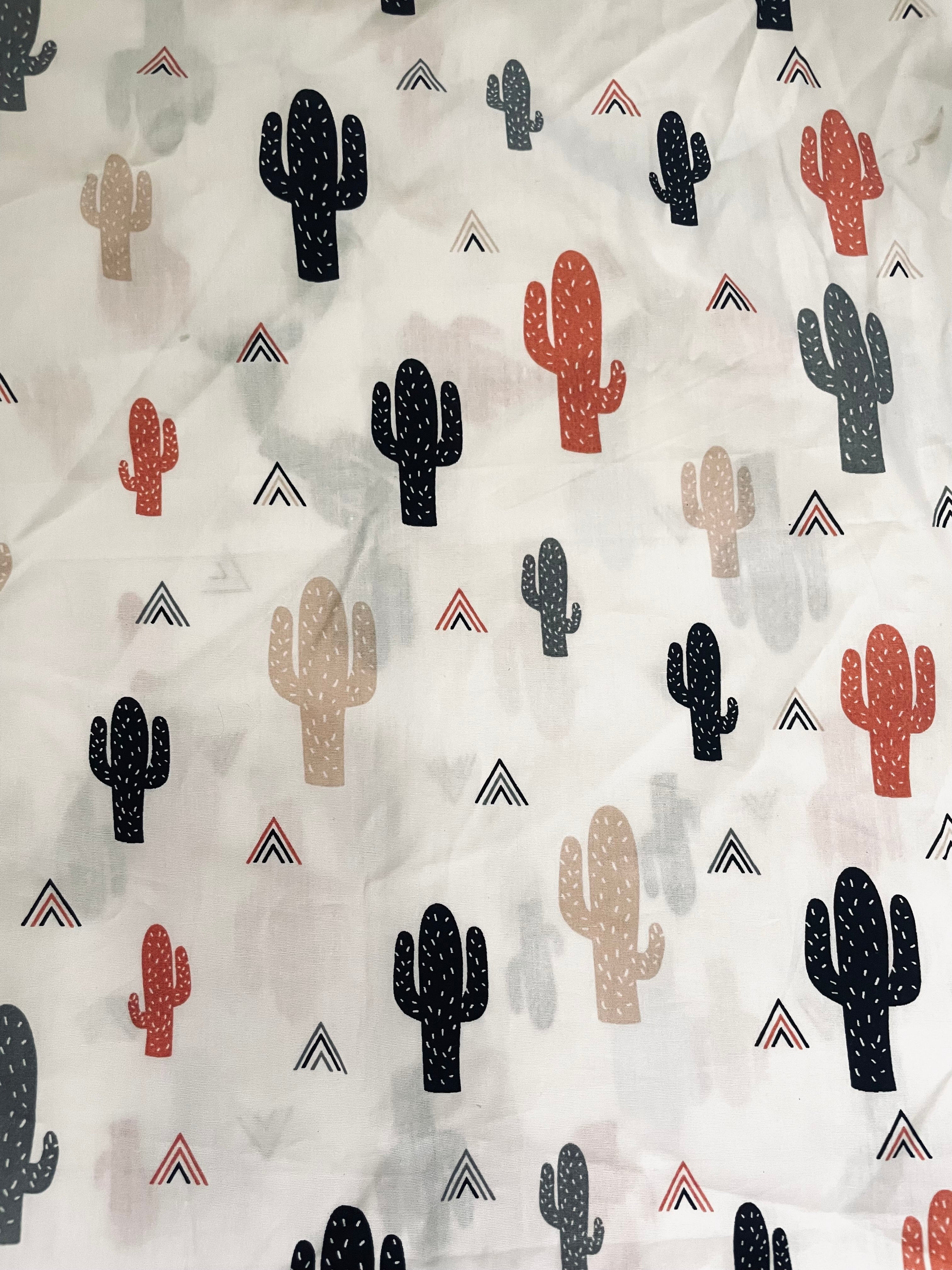 Cactus Brique