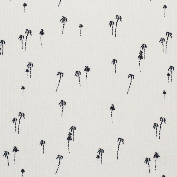 Rib Palm Tree