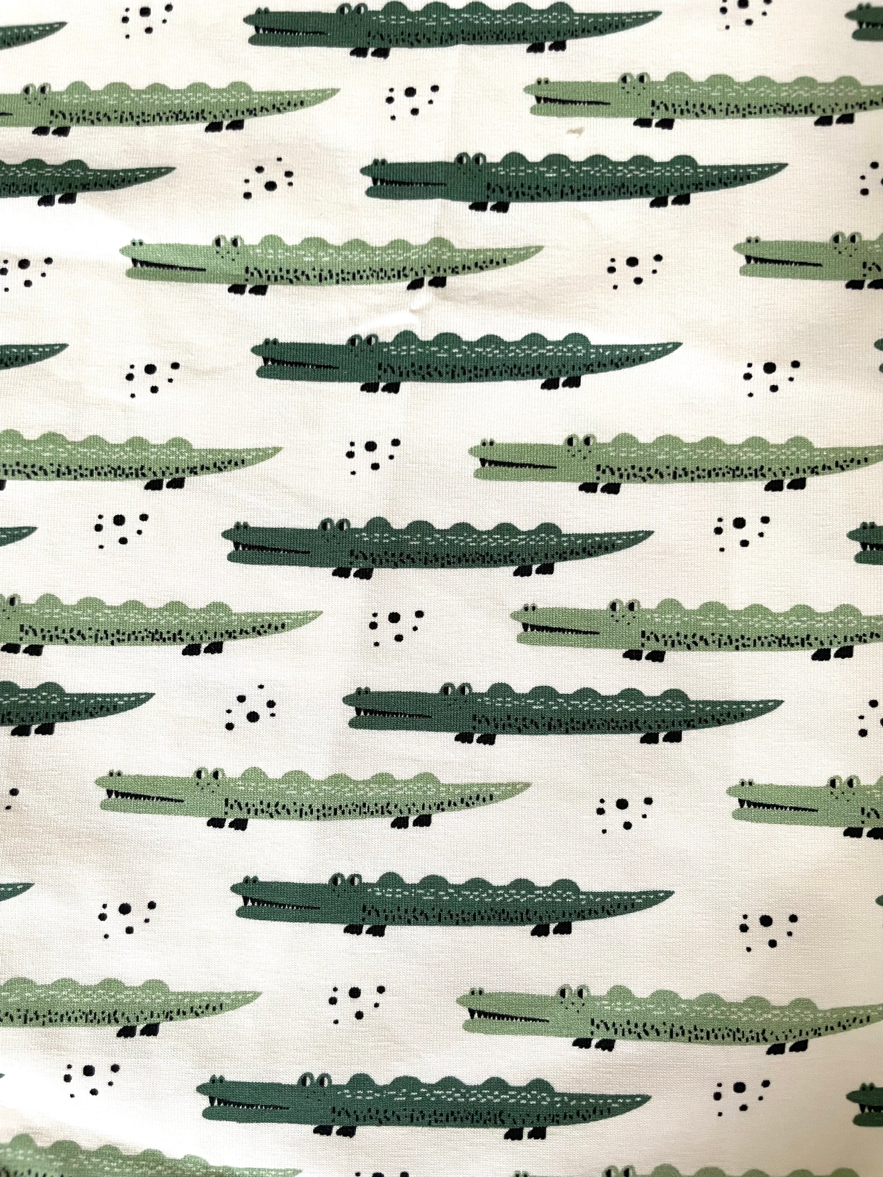 Crocodile
