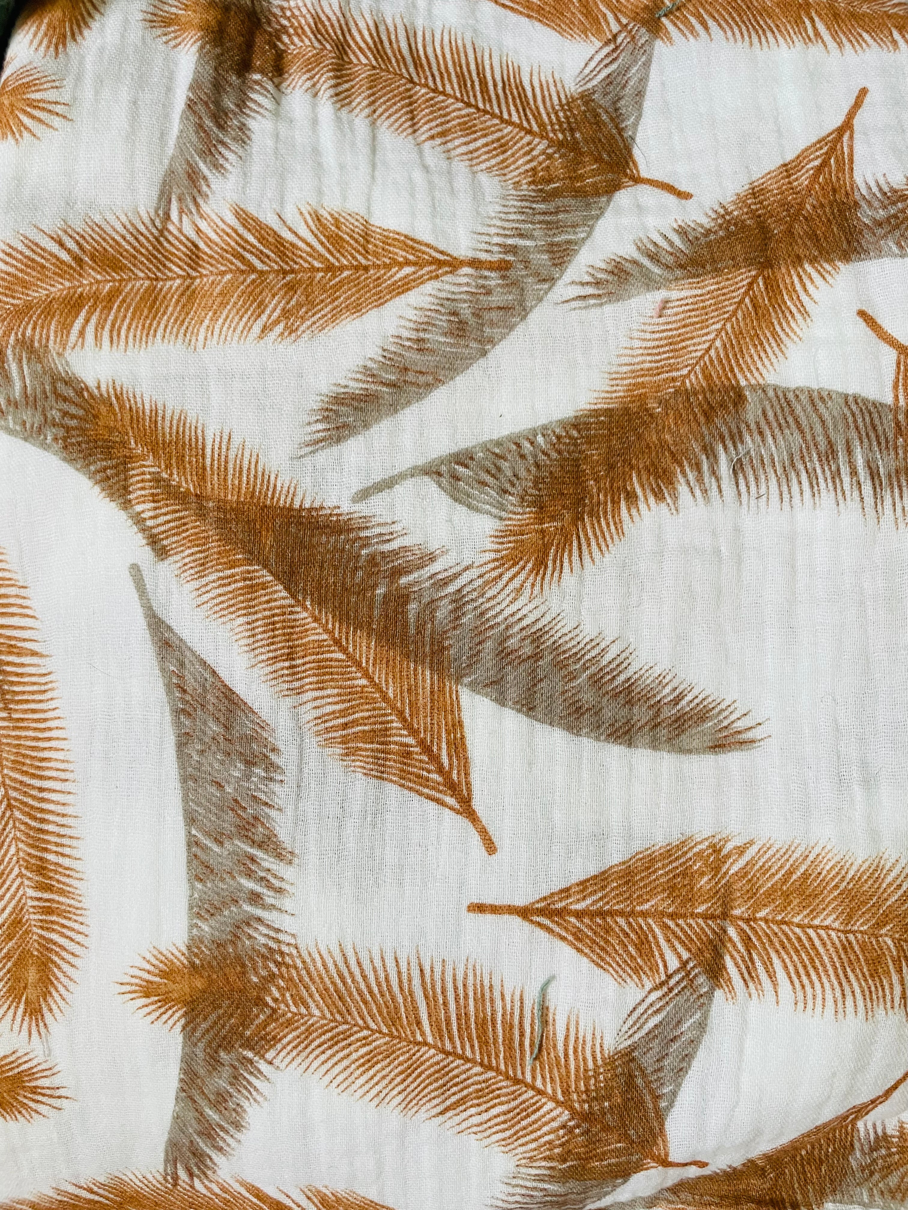 Feathers