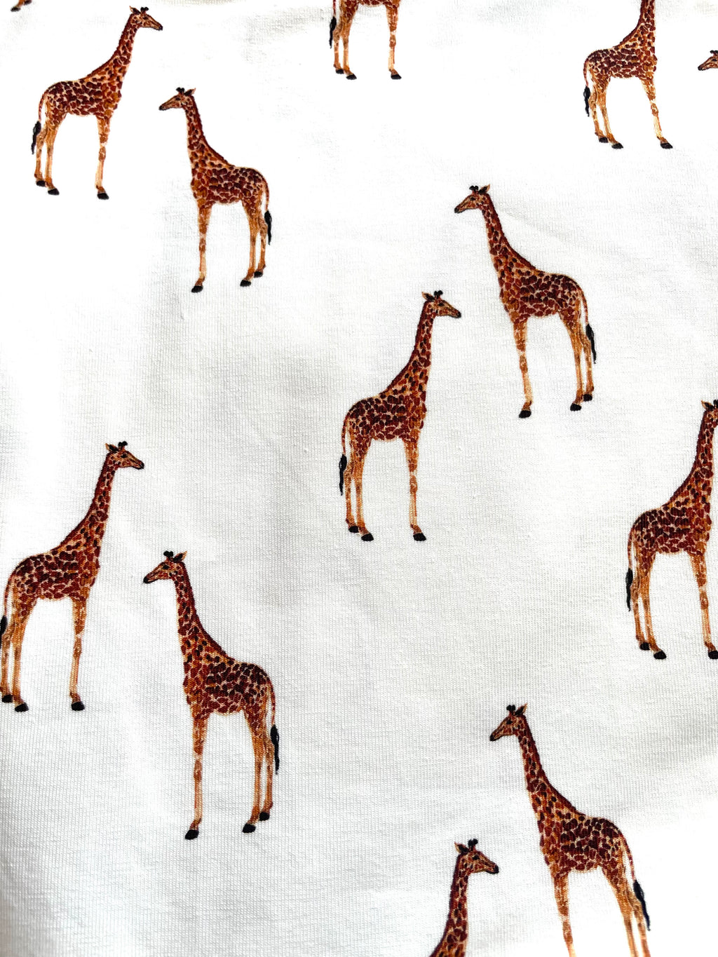 Baby Hat Animals