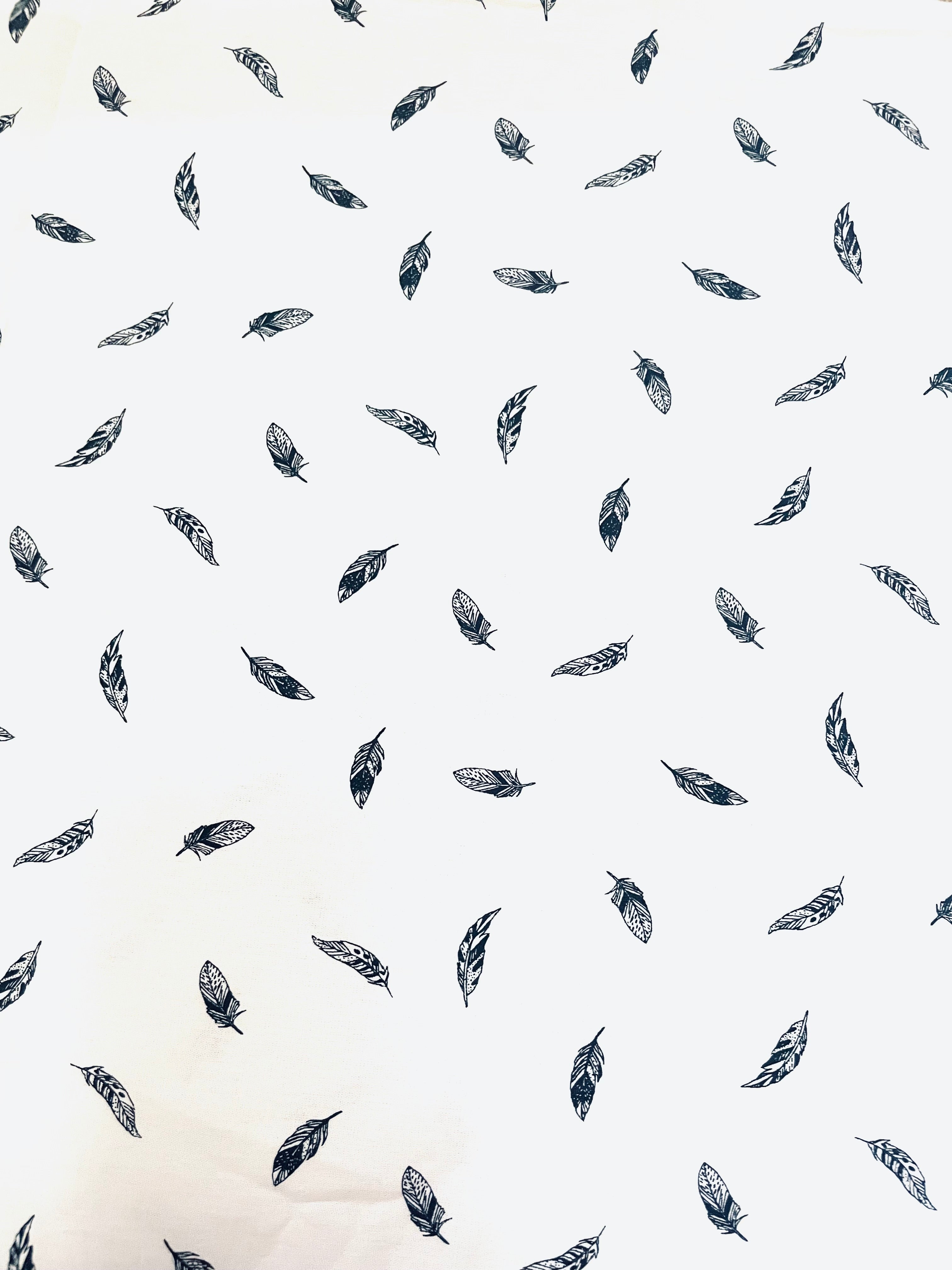 Feathers
