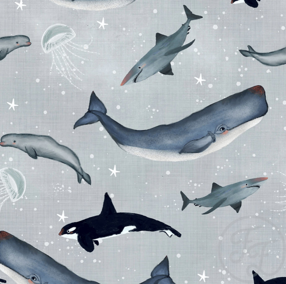 Whales Ocean